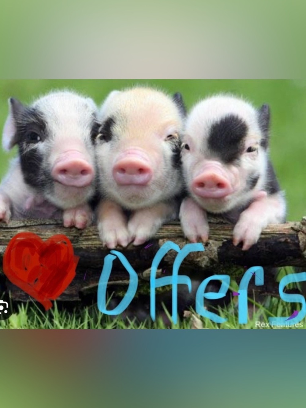 🐷 Bundles 20% off 2 🐷